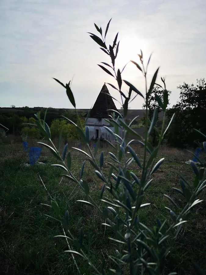Holiday home Gite Spacieux Les Lyllacs Cestayrols