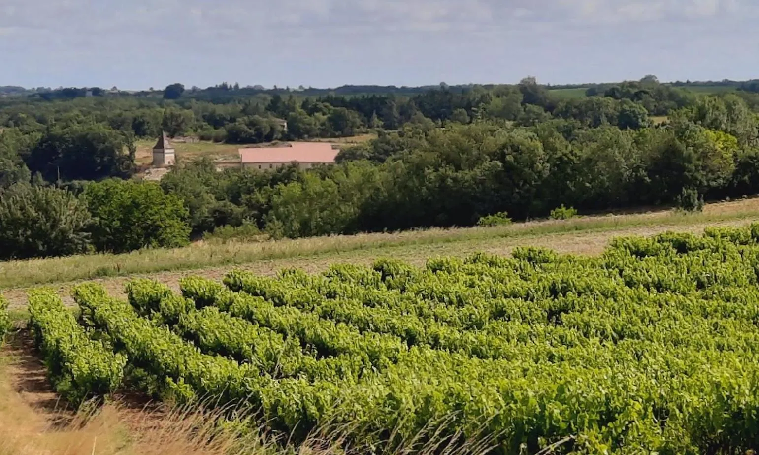 Gite Spacieux Les Lyllacs Cestayrols